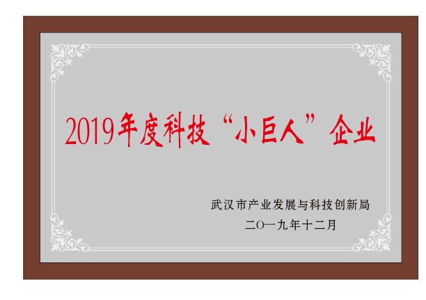小巨人