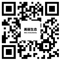 二維碼